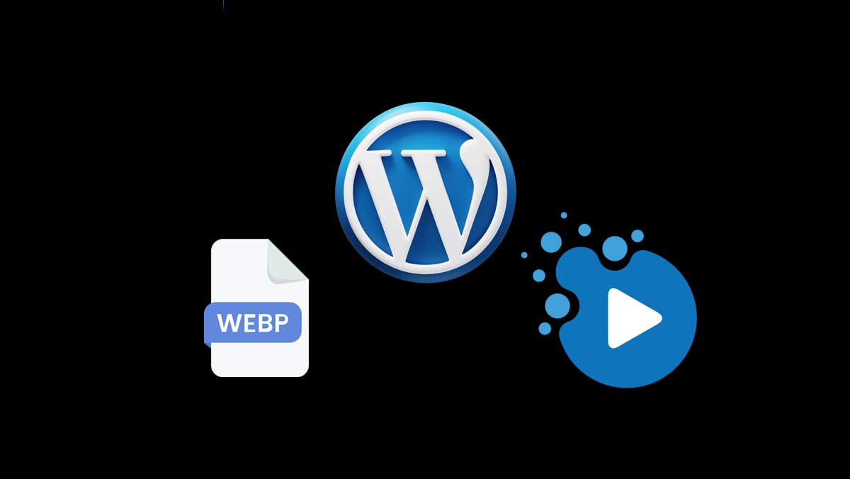 WebP_WordPress_Media_ipdata_code